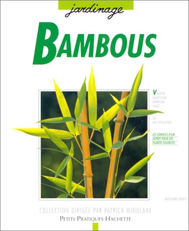 Bambous : des variétés pour l'appartement, le balcon, la terrasse et le jardin : les conseils d'un s