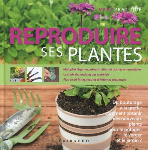 Reproduire ses plantes : du bouturage à la greffe : comment obtenir des nouveaux plants pour le pota