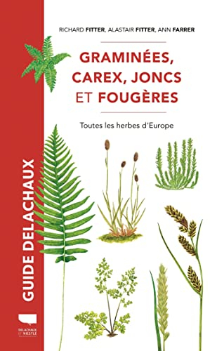 Graminées, carex, joncs et fougères : toutes les herbes d'Europe