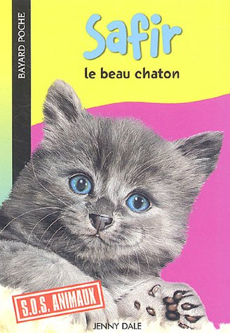 safir : le beau chaton