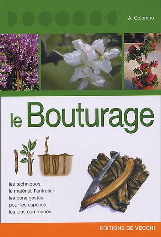 Le bouturage : les techniques, le matériel, l'entretien, les bon gestes pour les espèces les plus co