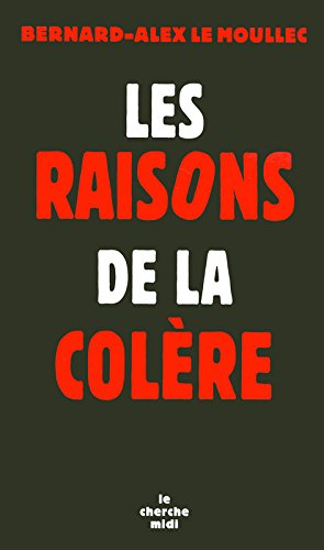 Les raisons de la colère : pour une politique globale de la jeunesse