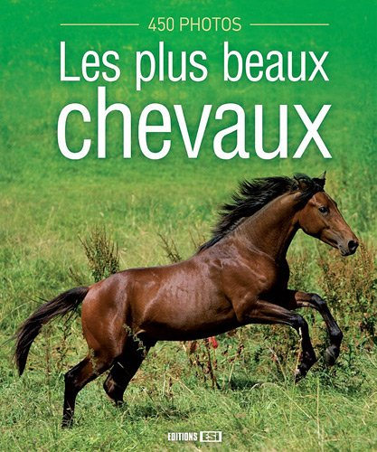 Les plus beaux chevaux : 450 photos