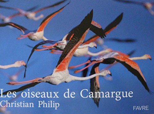 Les oiseaux de Camargue