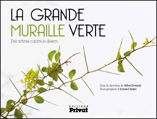 La grande muraille verte : des arbres contre le désert