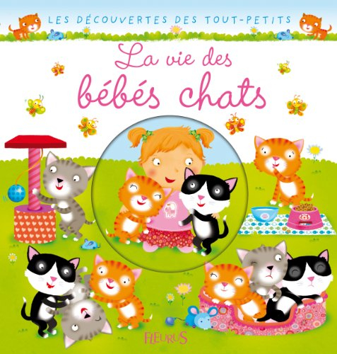 La vie des bébés chats