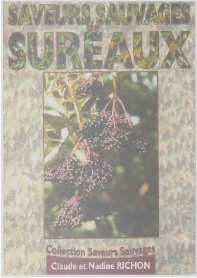 Cuisine de Saveurs Sauvages de Sureaux