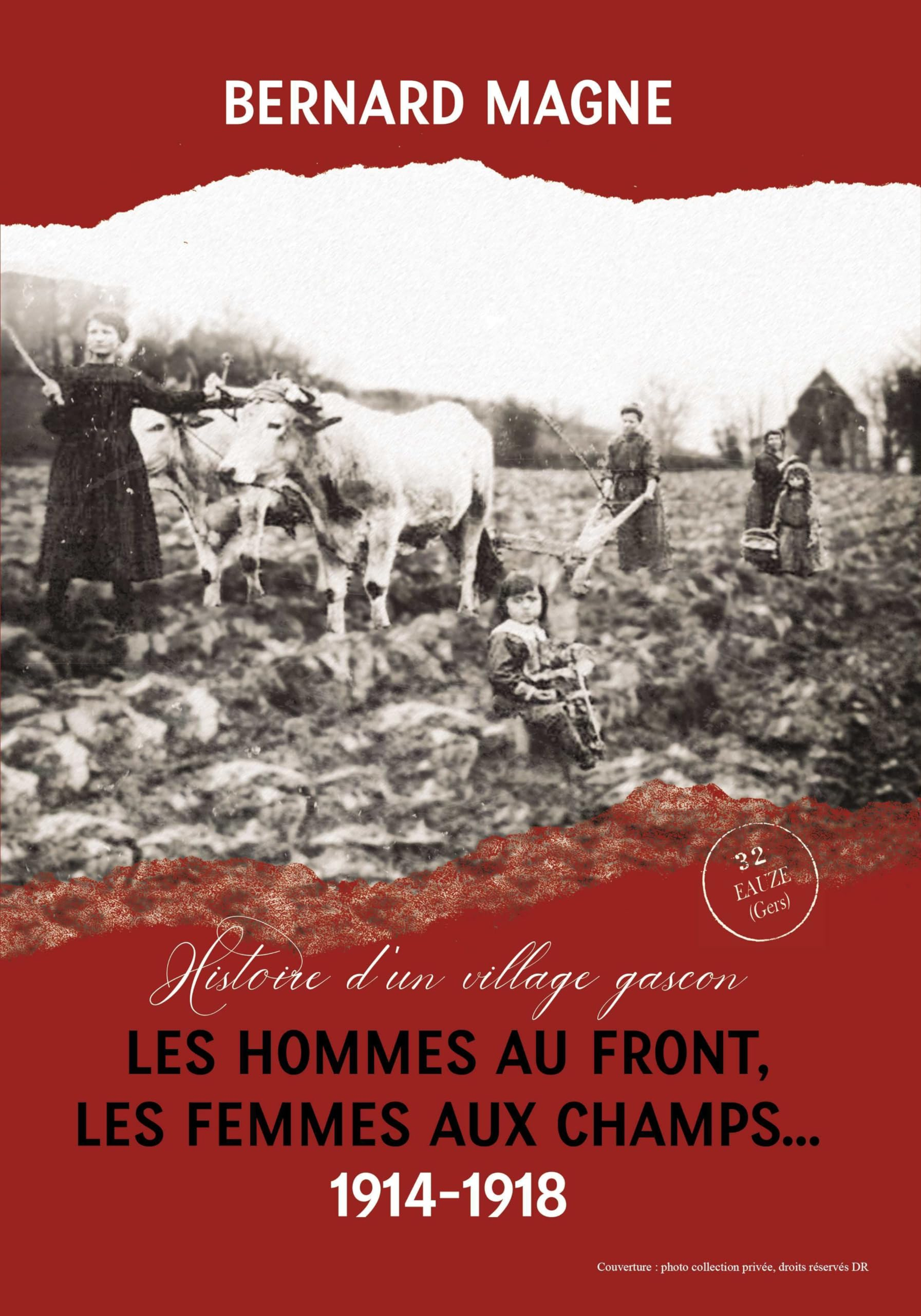 Les hommes au front Les femmes aux champs 1914-1918: Histoire d'un village gascon