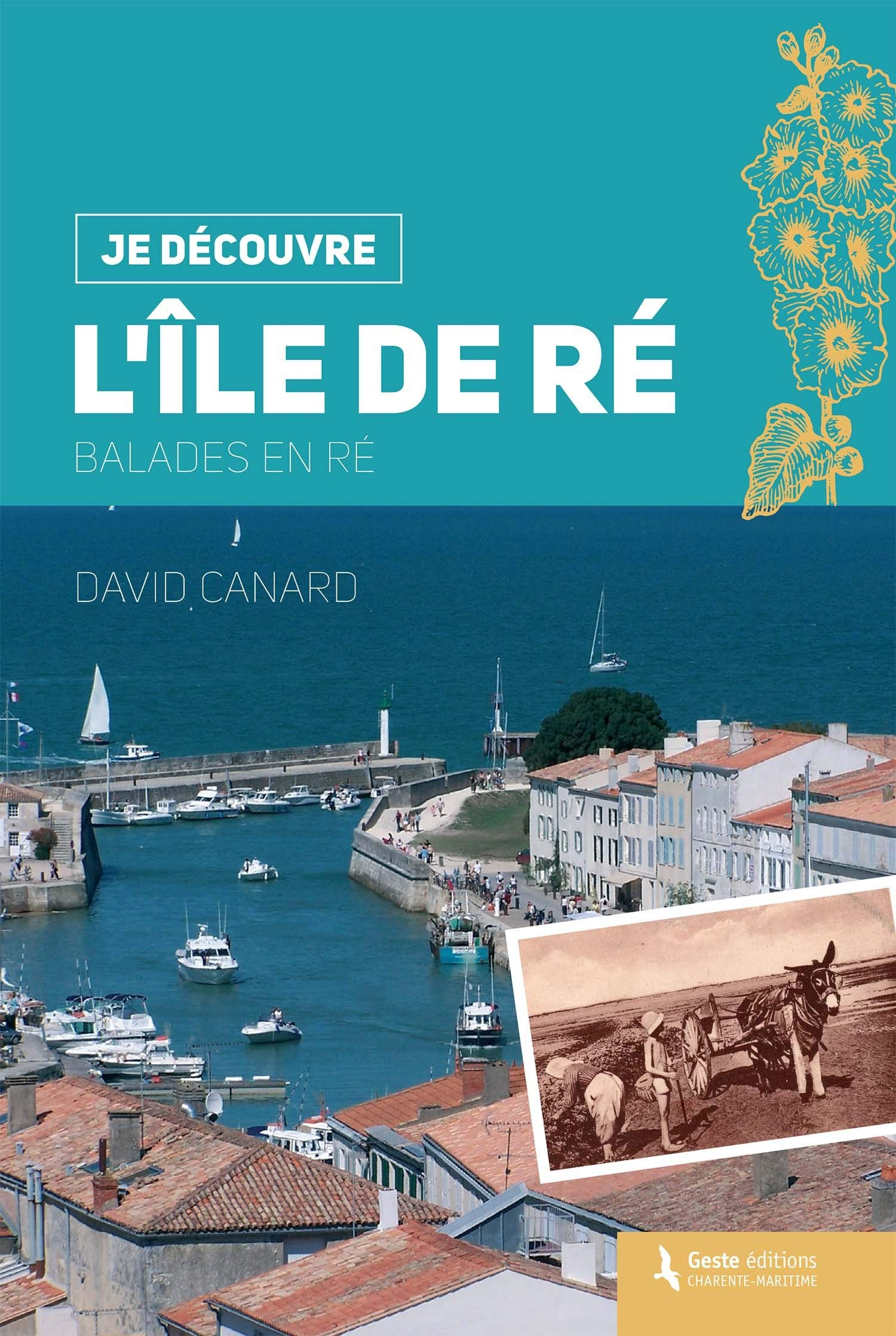L'île de Ré : balades en Ré