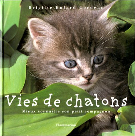 Vies de chatons