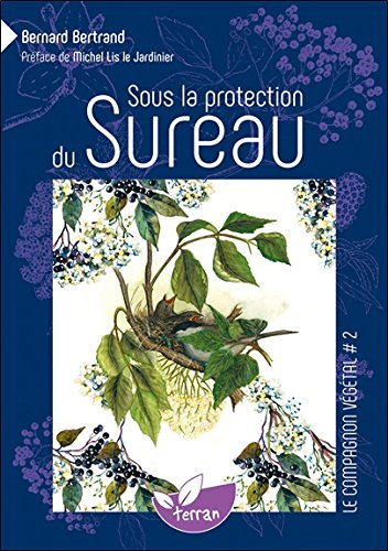 Sous la protection du sureau