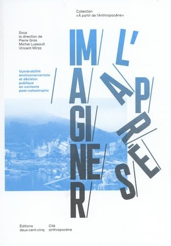 Imaginer l'après : vulnérabilité environnementale et décision publique en contexte post-catastrophe