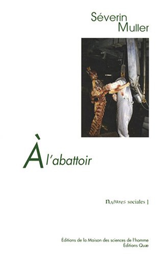 A l'abattoir : travail et relations professionnelles face au risque sanitaire