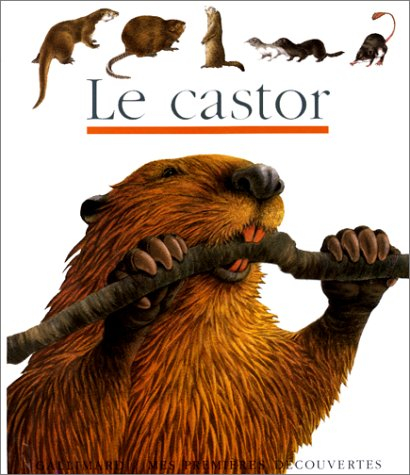 Le Castor
