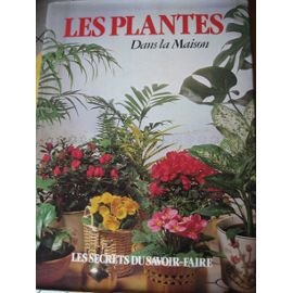 Les Plantes dans la maison