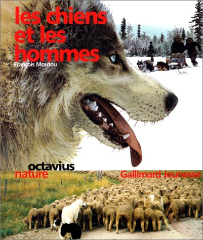 Les chiens et les hommes