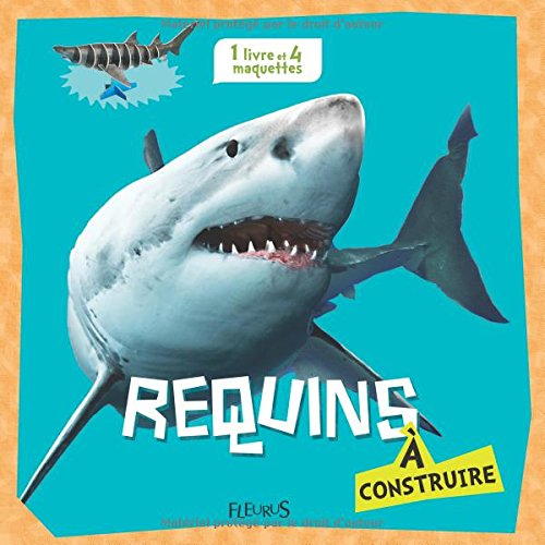 Requins à construire
