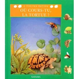 où cours-tu, la tortue ?