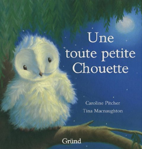 Une toute petite chouette