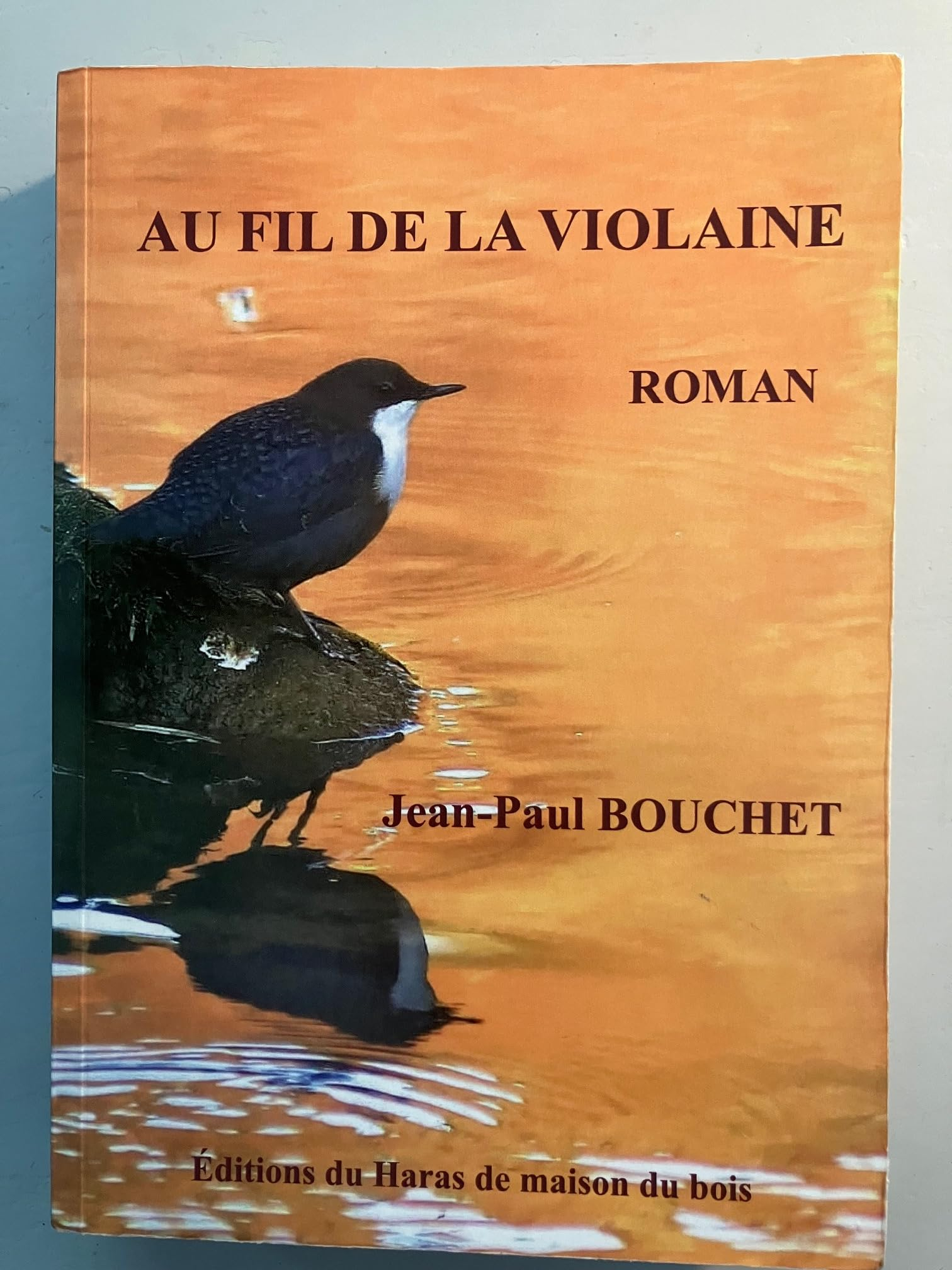Au fil de la Violaine