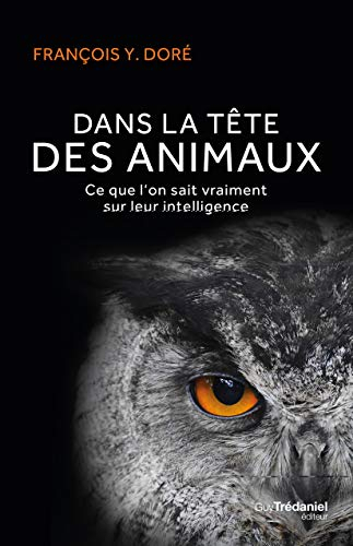 Dans la tête des animaux : ce que l'on sait vraiment sur leur intelligence