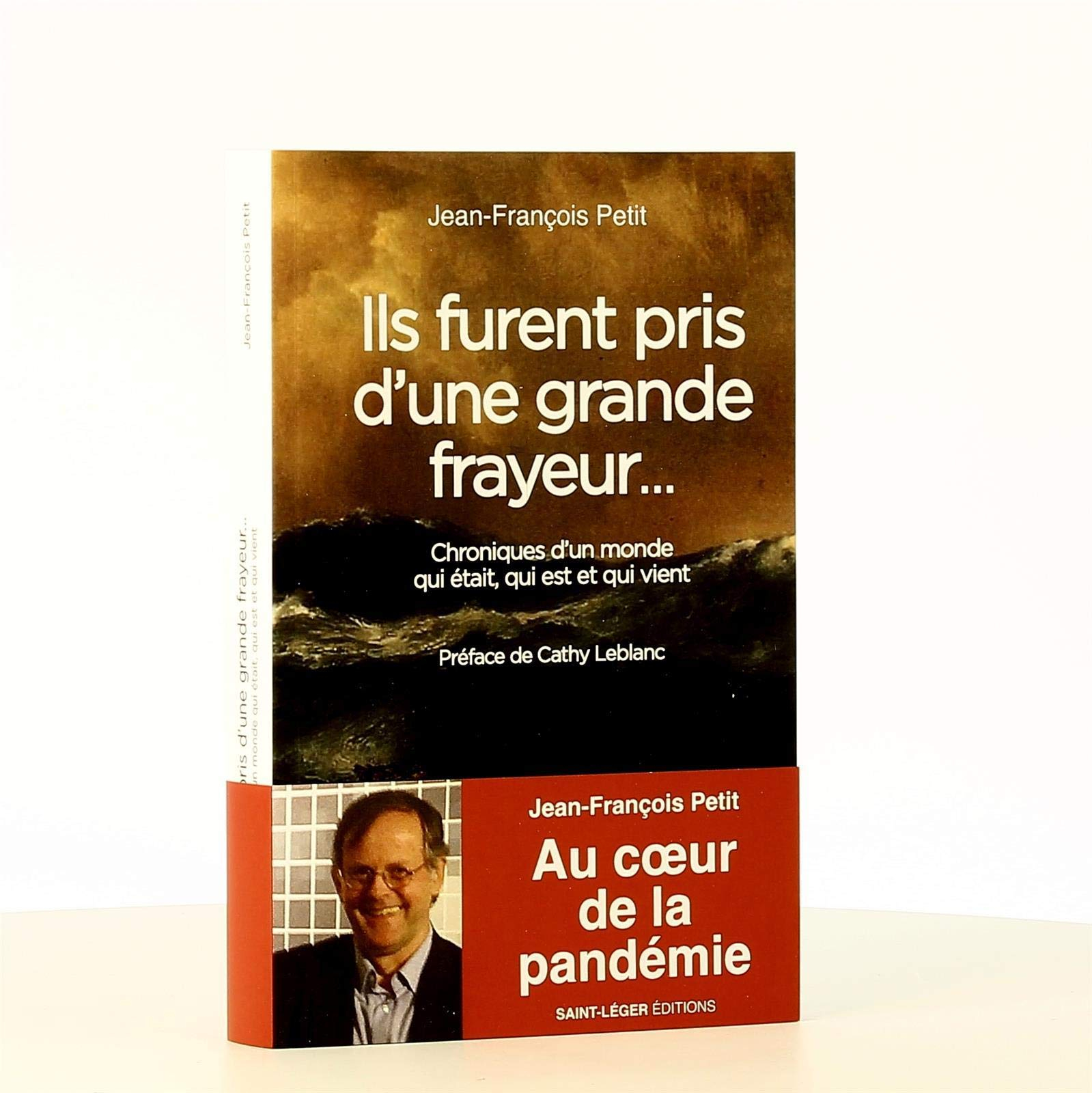 Ils furent pris d'une grande frayeur... : chroniques au coeur d'une pandémie