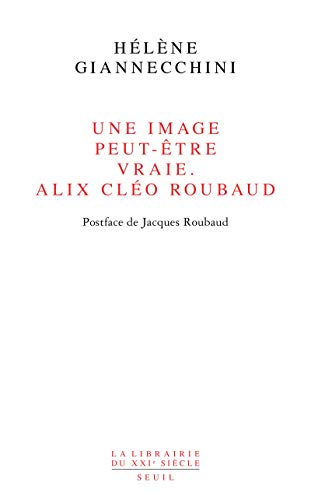 Une image peut-être vraie, Alix Cléo Roubaud
