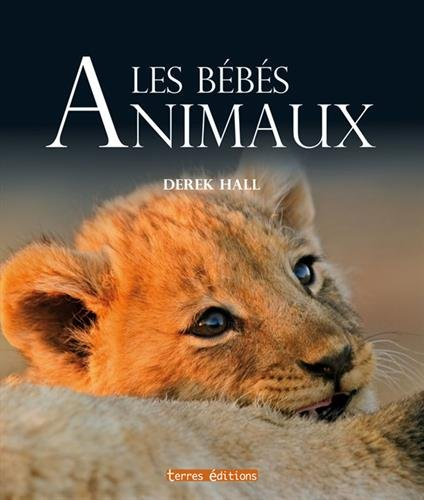 Les bébés animaux