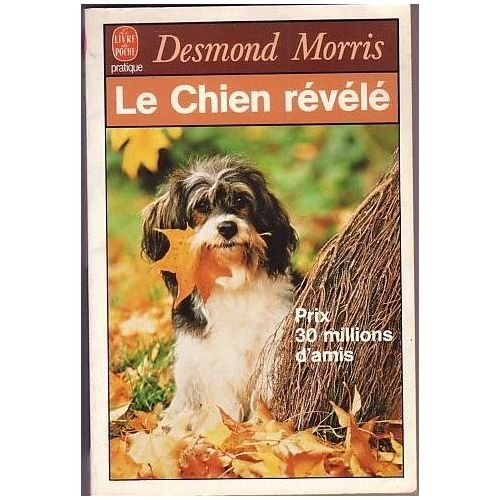 Le Chien révélé : guide essentiel du comportement de votre chien