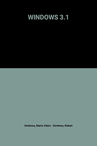 windows 3.1