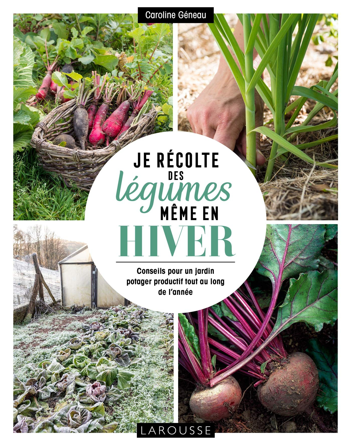 Je récolte des légumes même en hiver : conseils pour un jardin potager productif tout au long de l'a