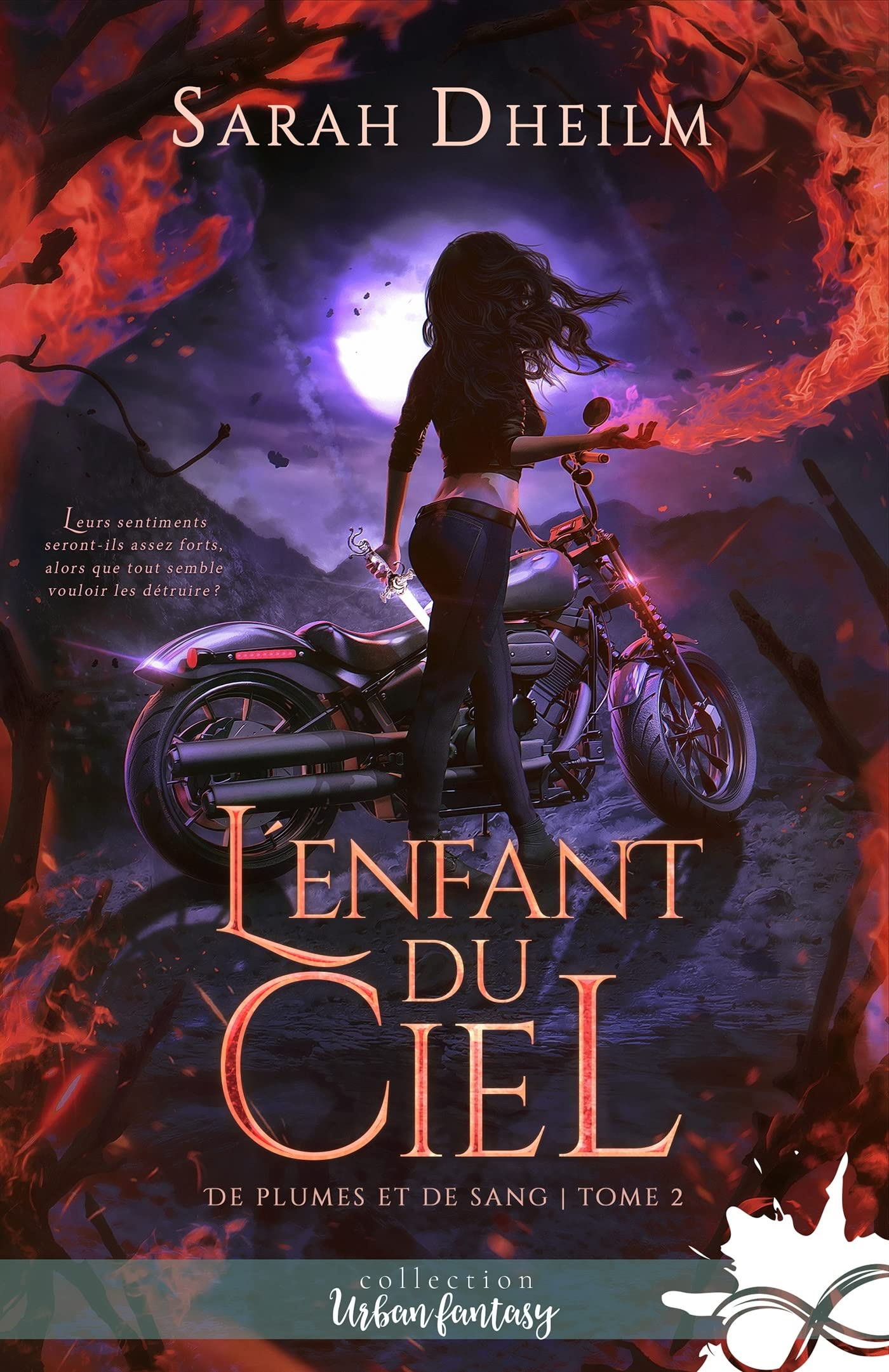 L'enfant du ciel : De plumes et de sang, T2