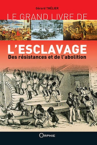 Le grand livre de l'esclavage : des résistances et de l'abolition : Martinique, Guadeloupe, la Réuni