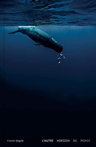 L'autre horizon du monde