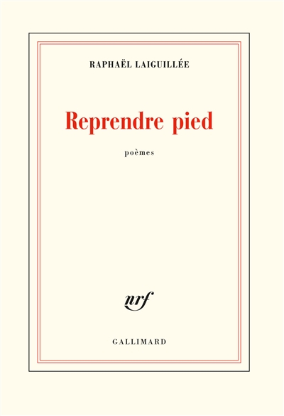 Reprendre pied : poèmes