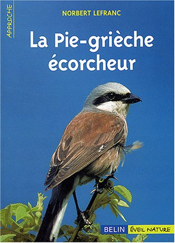 La pie-grièche écorcheur
