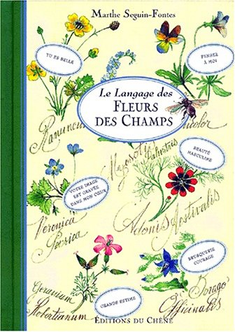 le langage des fleurs des champs
