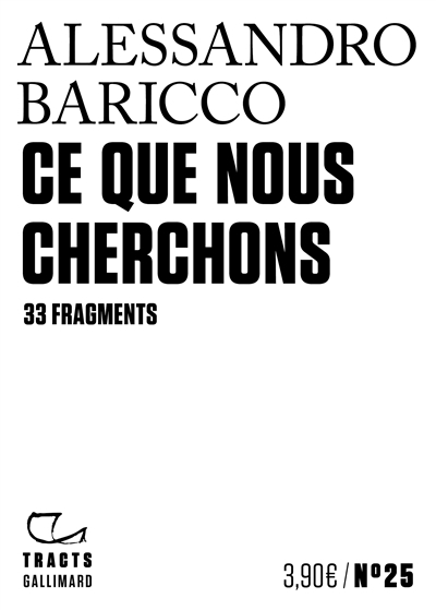 Ce que nous cherchons : 33 fragments
