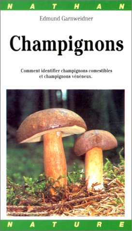 champignons