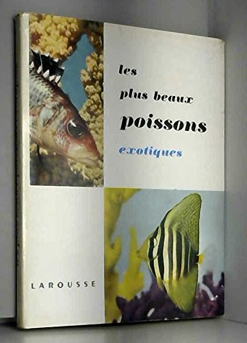 les plus beaux poissons exotiques