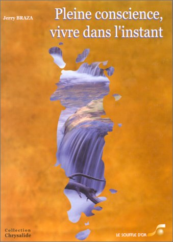 la pleine conscience : vivre dans l'instant