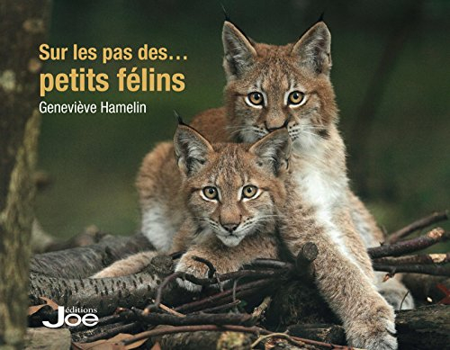 sur les pas des petits félins