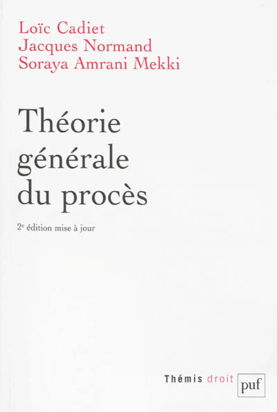 Théorie générale du procès