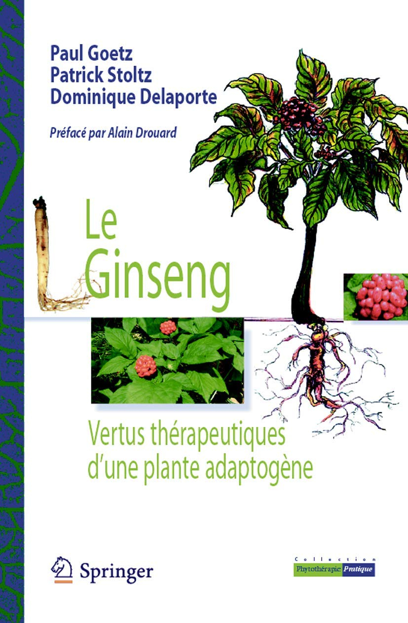 Le ginseng : vertus thérapeutiques d'une plante adaptogène
