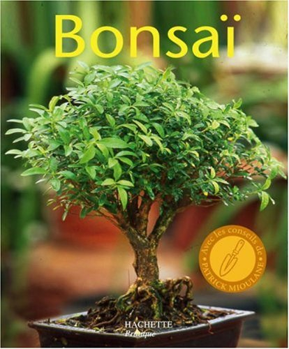 Bonsaï : tous les bons conseils pour l'achat, la culture et la taille, l'apprentissage de la ligatur