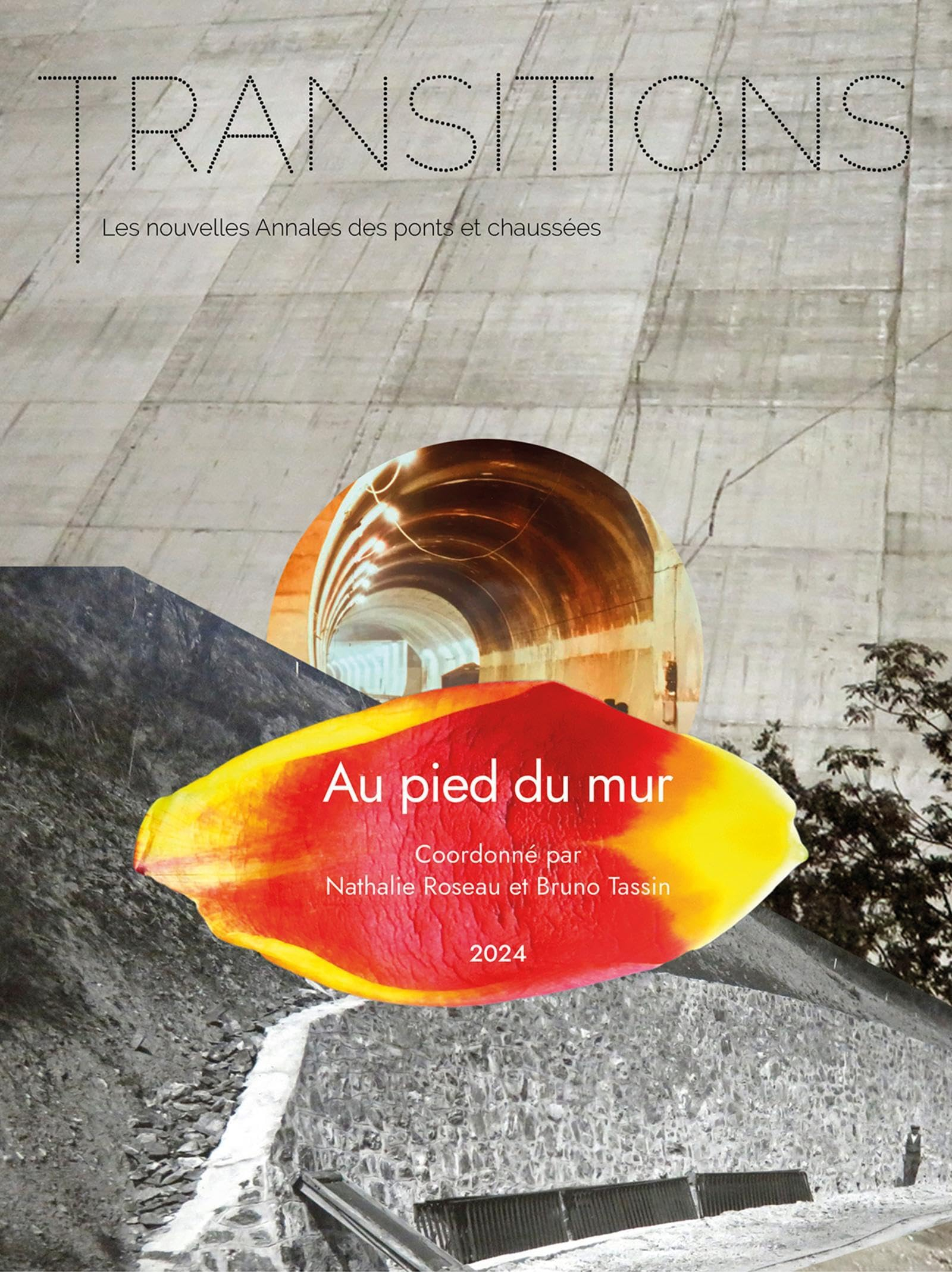 Transitions : les nouvelles annales des ponts et chaussées, n° 4. Au pied du mur : imaginer les futu