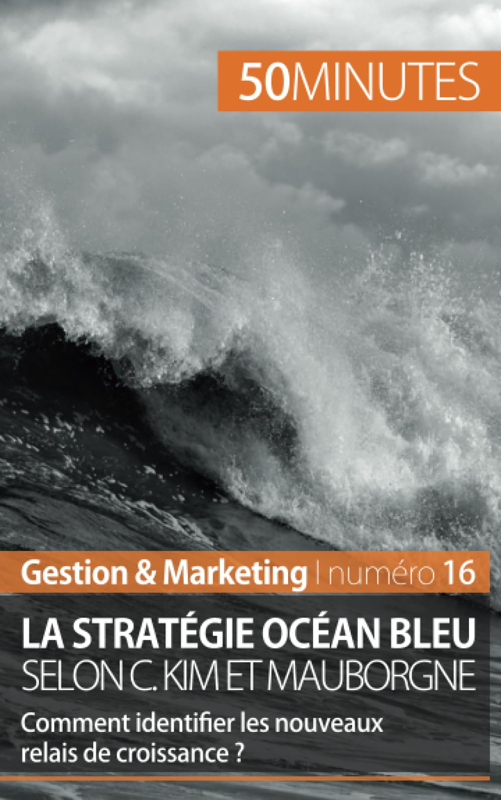 La stratégie Océan bleu selon C. Kim et Mauborgne : Comment identifier les nouveaux relais de croiss