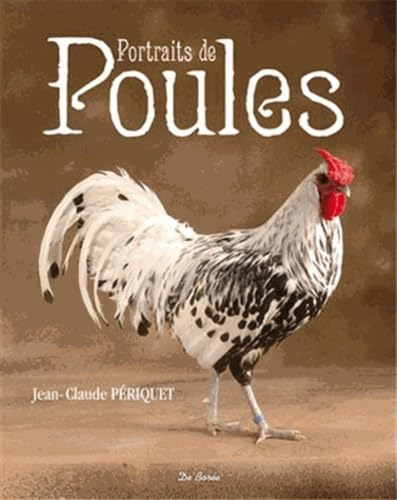 Portraits de poules