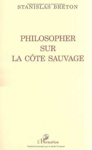 Philosopher sur la côte sauvage