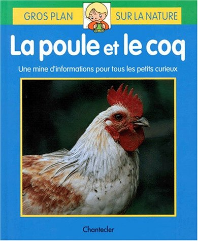 gros plan sur la nature, numéro 3 : la poule et le coq